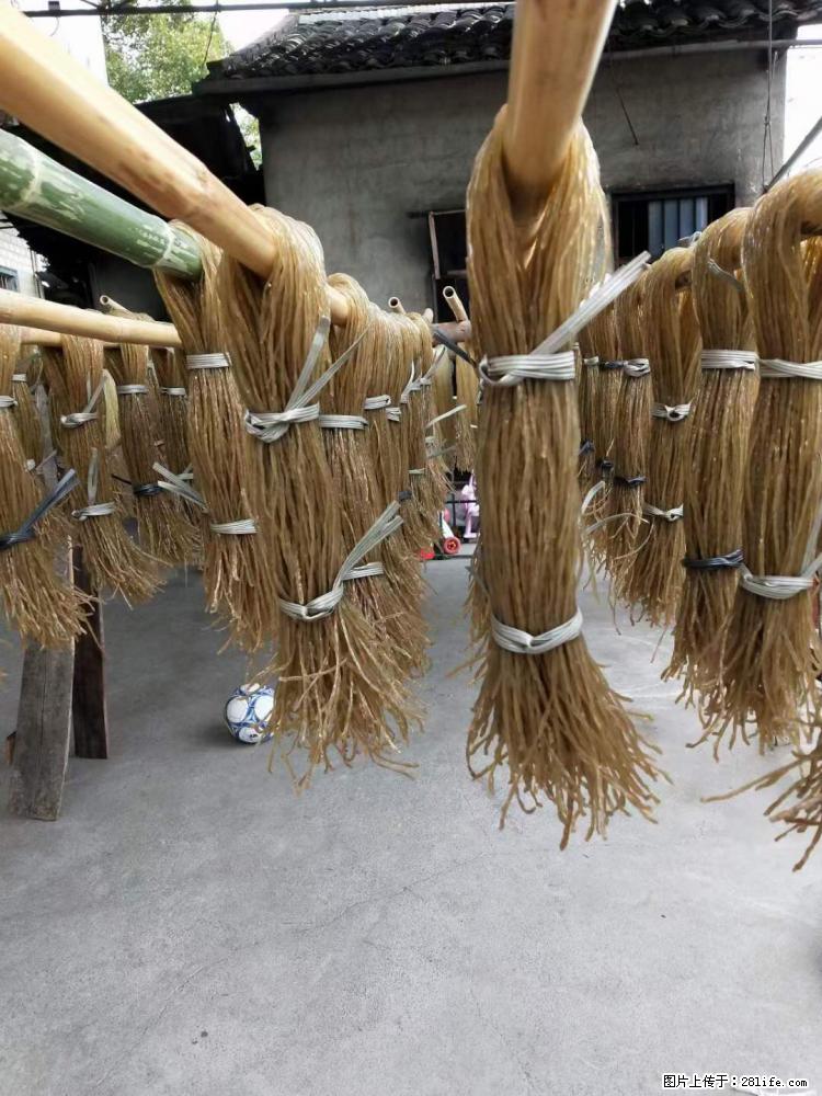 【灌阳正宗红薯粉】美女家里自己做的,干净卫生,假一赔十,价格合理,抢购电话:13737312895 - 美食天地 - 遂宁生活社区 - 遂宁28生活网 suining.28life.com