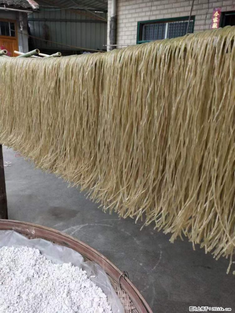 【灌阳正宗红薯粉】美女家里自己做的,干净卫生,假一赔十,价格合理,抢购电话:13737312895 - 美食天地 - 遂宁生活社区 - 遂宁28生活网 suining.28life.com