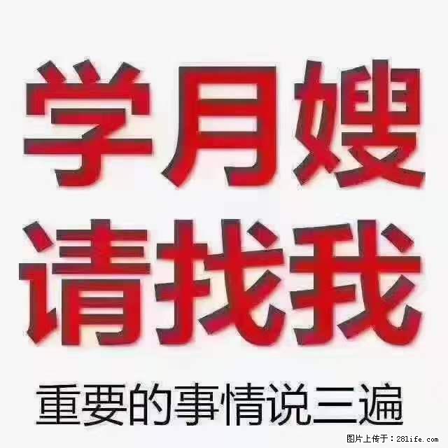 为什么要学习月嫂,育婴师? - 其他广告 - 广告专区 - 遂宁分类信息 - 遂宁28生活网 suining.28life.com