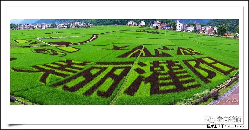 【春天，广西桂林灌阳县向您发出邀请！】开篇 - 游山玩水 - 遂宁生活社区 - 遂宁28生活网 suining.28life.com