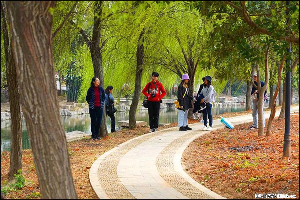 【春天，广西桂林灌阳县向您发出邀请！】江口老街又逢春 - 游山玩水 - 遂宁生活社区 - 遂宁28生活网 suining.28life.com