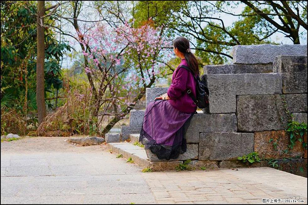 【春天，广西桂林灌阳县向您发出邀请！】江口老街又逢春 - 游山玩水 - 遂宁生活社区 - 遂宁28生活网 suining.28life.com