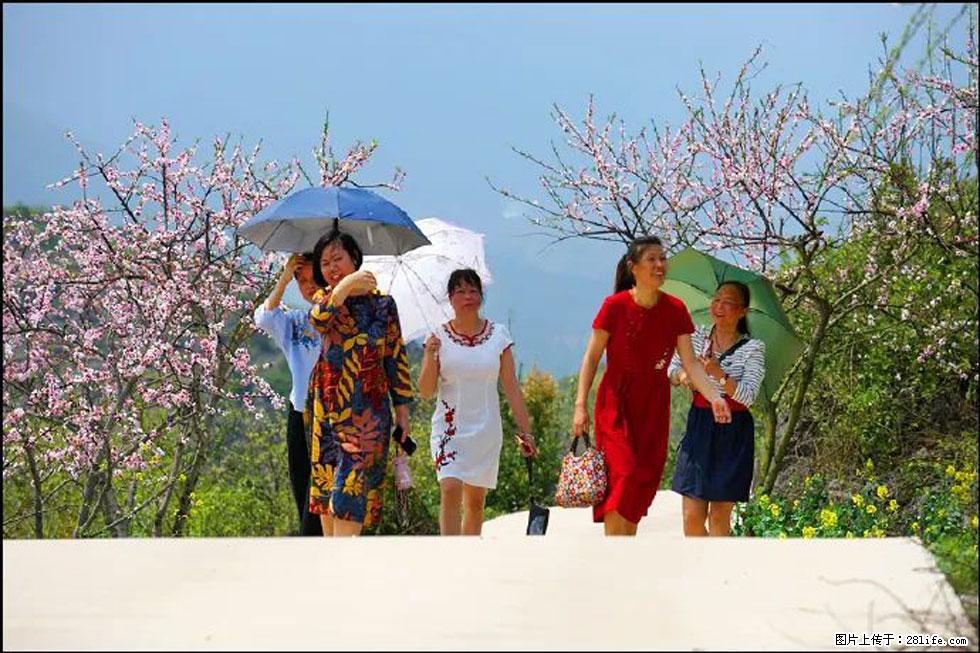 【春天，广西桂林灌阳县向您发出邀请！】望月岭上桃花开 - 游山玩水 - 遂宁生活社区 - 遂宁28生活网 suining.28life.com