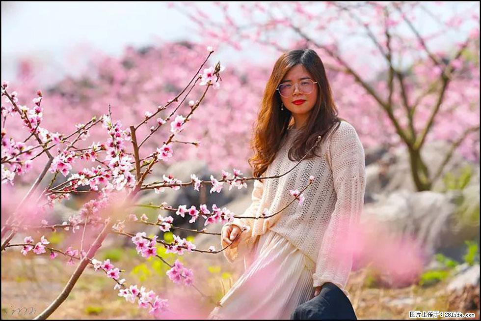 【春天，广西桂林灌阳县向您发出邀请！】望月岭上桃花开 - 游山玩水 - 遂宁生活社区 - 遂宁28生活网 suining.28life.com