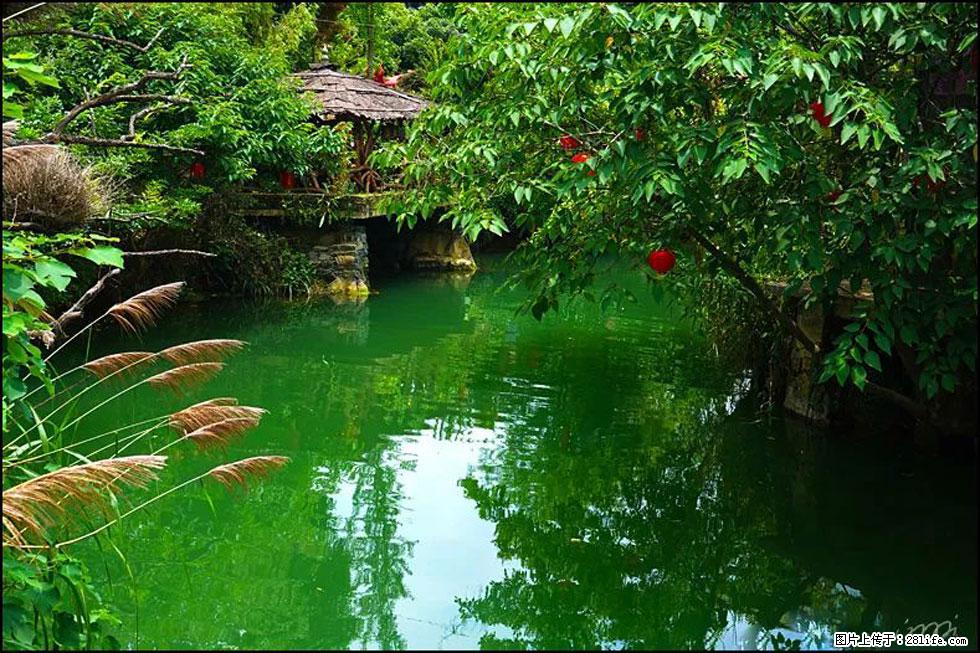 【春天，广西桂林灌阳县向您发出邀请！】如梦似幻莲溪庐 - 游山玩水 - 遂宁生活社区 - 遂宁28生活网 suining.28life.com