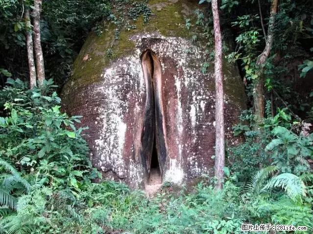 让人脸红的流氓景点，大自然真的有点色 - 灌水专区 - 遂宁生活社区 - 遂宁28生活网 suining.28life.com