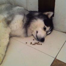 笑癫了！一女的怀孕三年未生，他终于忍不住了... - 娱乐八卦 - 遂宁生活社区 - 遂宁28生活网 suining.28life.com