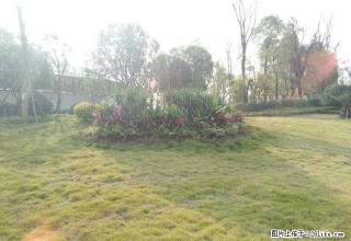 中央商务区 翰林名苑中装一室一厅东西齐全 装修新色 拎包入住 - 遂宁28生活网 suining.28life.com