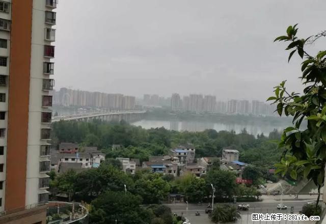 此房精装，带全部家具家电，拎包入住，业主次急租，急租，急租 - 房屋出租 - 房屋租售 - 遂宁分类信息 - 遂宁28生活网 suining.28life.com