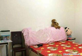 和平路二楼 带家具家电便宜出租 地段好紧邻商务区成熟生活圈 - 遂宁28生活网 suining.28life.com