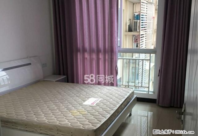 商务区大都会 电梯房 精装 1室1厅 新色舒适 家电家具齐全 - 房屋出租 - 房屋租售 - 遂宁分类信息 - 遂宁28生活网 suining.28life.com