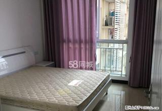 商务区大都会 电梯房 精装 1室1厅 新色舒适 家电家具齐全 - 遂宁28生活网 suining.28life.com