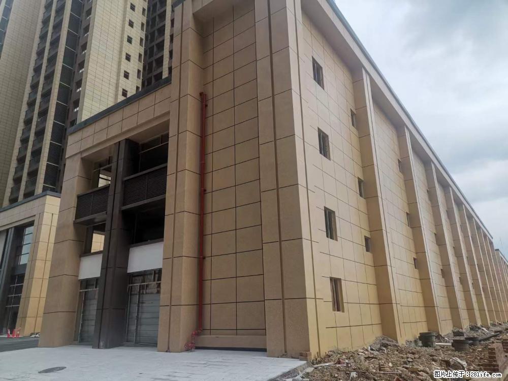 【广西三象建筑安装工程有限公司】外墙涂料工程 - 新手上路 - 遂宁生活社区 - 遂宁28生活网 suining.28life.com