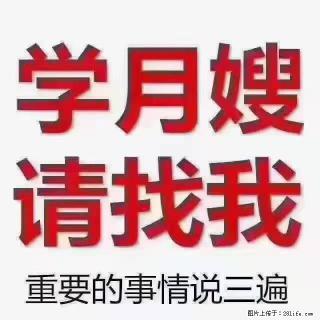 【招聘】月嫂，上海徐汇区 - 遂宁28生活网 suining.28life.com