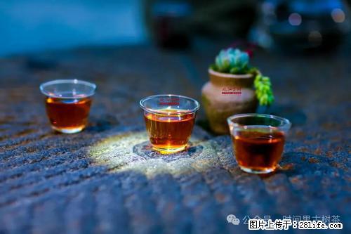 时间果百年古树2025年春红茶 - 购物交流 - 遂宁生活社区 - 遂宁28生活网 suining.28life.com