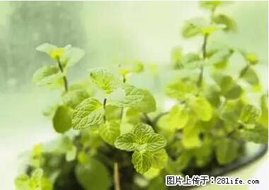 晕车、脚气、牙齿变黄、皮肤粗糙？学会这些三分钟搞定！ - 遂宁生活资讯 - 遂宁28生活网 suining.28life.com