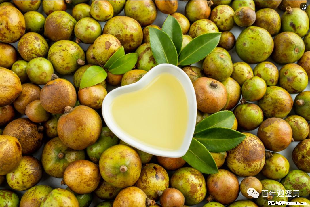 世界没有真相,只有认知,最好的食用油是中国的山茶油! - 遂宁生活资讯 - 遂宁28生活网 suining.28life.com