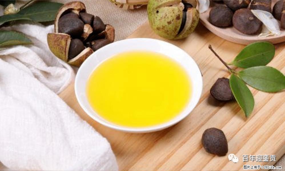 世界没有真相,只有认知,最好的食用油是中国的山茶油! - 遂宁生活资讯 - 遂宁28生活网 suining.28life.com