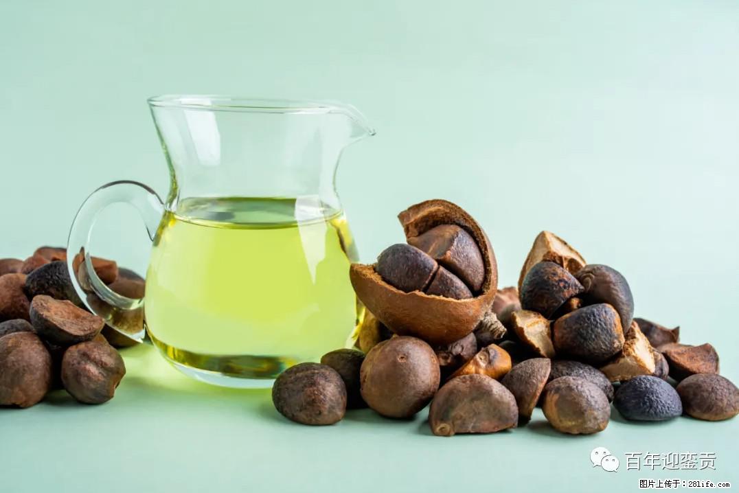 世界没有真相，只有认知，最好的食用油是中国的山茶油！ - 遂宁生活资讯 - 遂宁28生活网 suining.28life.com