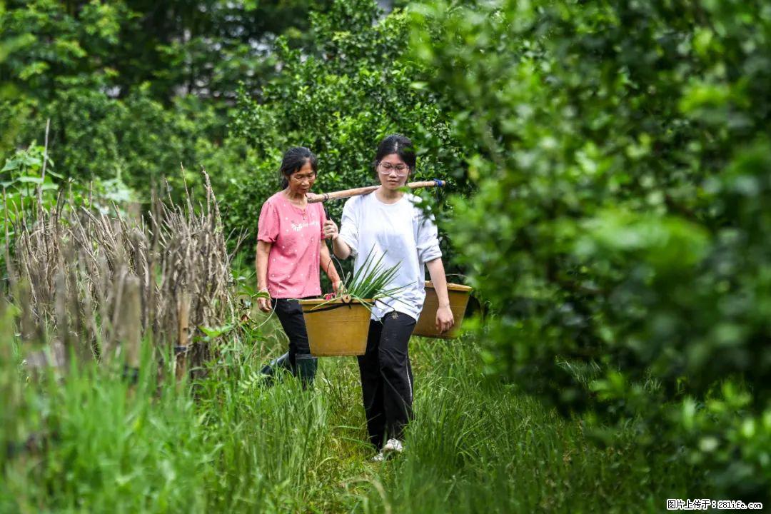 全网追的“扁担女孩”，找了一份暑假工，时薪12元 - 遂宁生活资讯 - 遂宁28生活网 suining.28life.com
