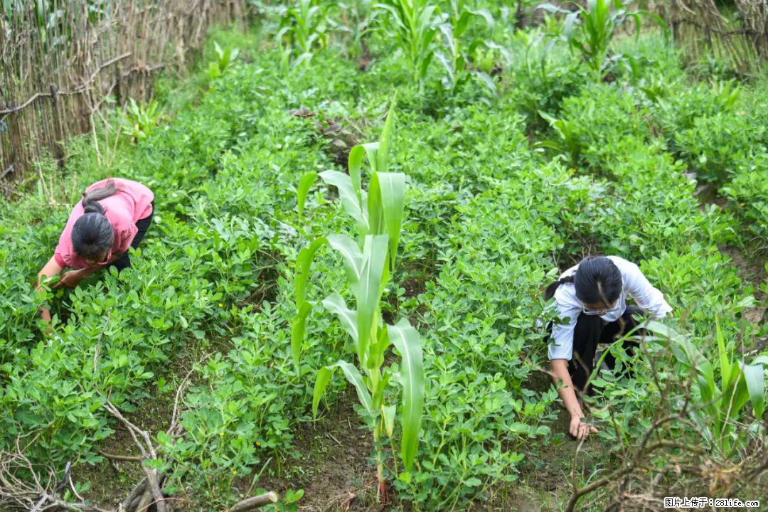 全网追的“扁担女孩”，找了一份暑假工，时薪12元 - 遂宁生活资讯 - 遂宁28生活网 suining.28life.com