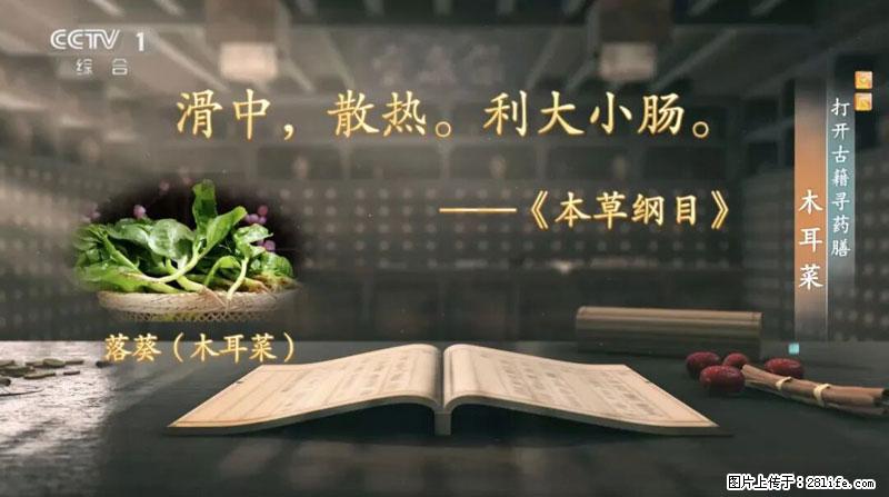 比牛奶补钙还厉害！凉血解毒、稳血糖...这菜冬天必吃，很多人却当草 - 遂宁生活资讯 - 遂宁28生活网 suining.28life.com