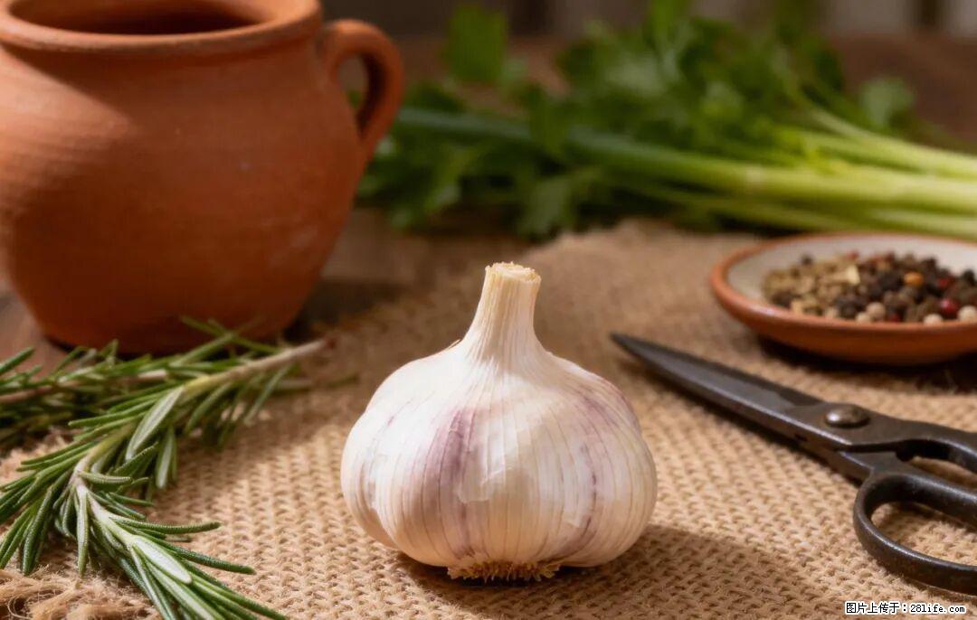 关于大蒜，除了“天然抗生素”，这4个谣言更该警惕! - 遂宁生活资讯 - 遂宁28生活网 suining.28life.com