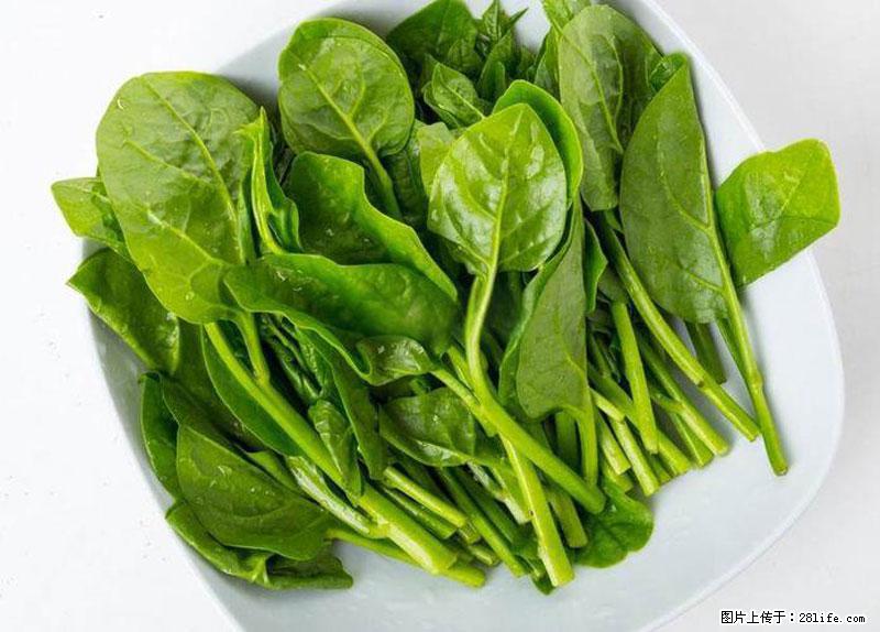 这些蔬菜是“天然钙片”，这6种被医生重点推荐 - 遂宁生活资讯 - 遂宁28生活网 suining.28life.com