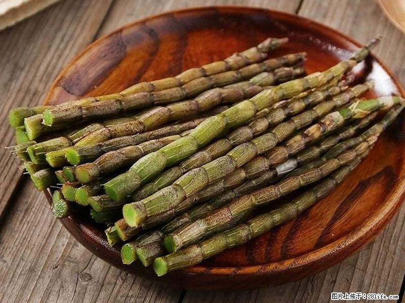 铁皮石斛的作用与功能主治 - 遂宁生活资讯 - 遂宁28生活网 suining.28life.com